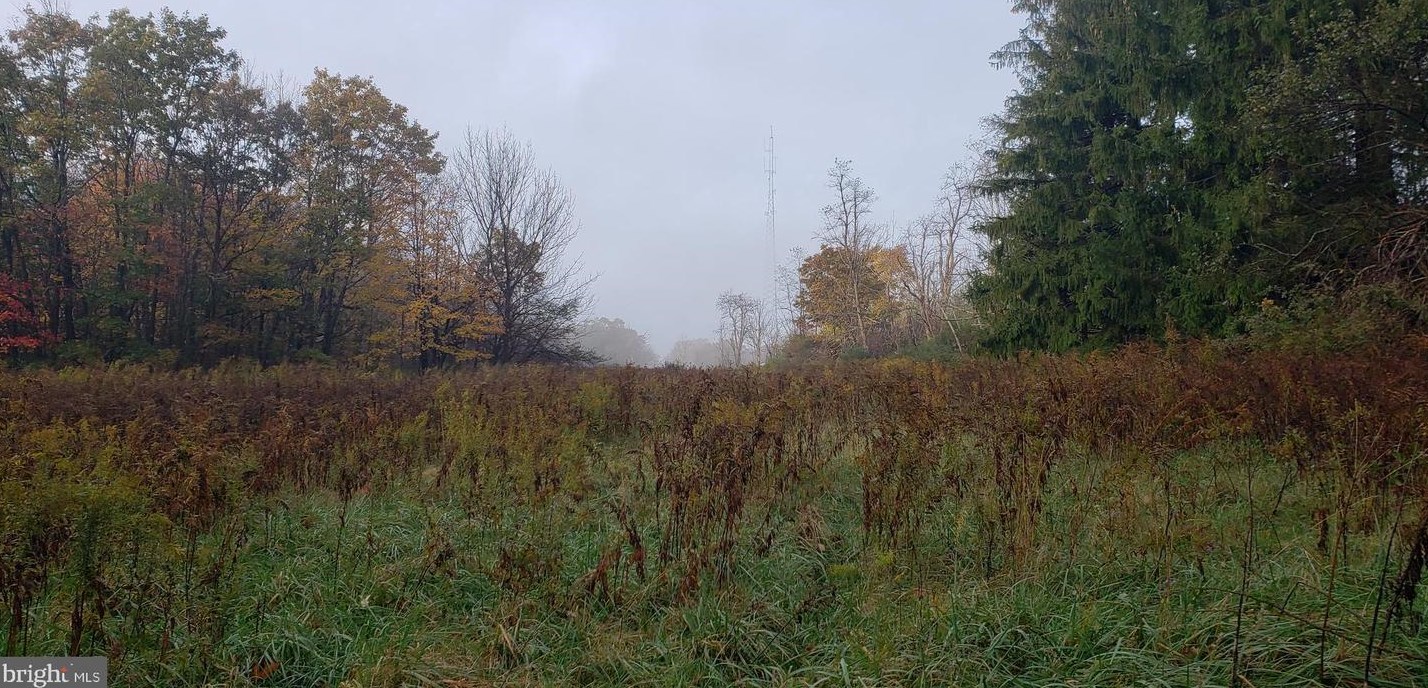 122 Mt Zion Rd, Swanton, MD 21561