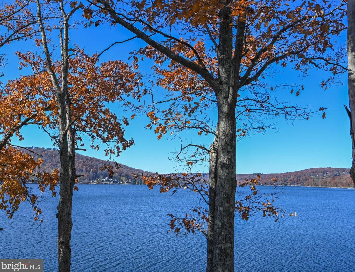 173 State Park Rd, Swanton, MD 21561