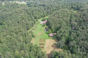 2527 Pigs Ear Rd, Grantsville, MD 21536 - Photo 84