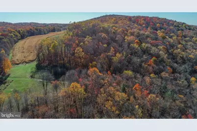 2527 Pigs Ear Road, Grantsville, MD 21536 - Photo 6