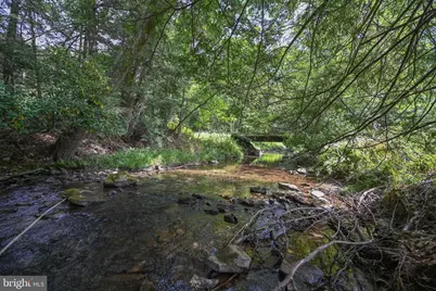 2527 Pigs Ear Road, Grantsville, MD 21536 - Photo 60