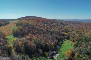 2527 Pigs Ear Rd, Grantsville, MD 21536 - Photo 88