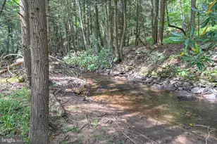 2527 Pigs Ear Rd, Grantsville, MD 21536 - Photo 2