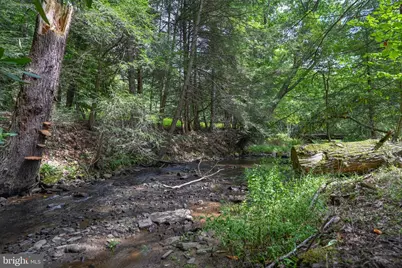 2527 Pigs Ear Road, Grantsville, MD 21536 - Photo 58