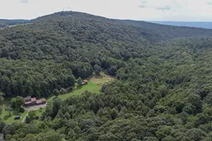 2527 Pigs Ear Rd, Grantsville, MD 21536 - Photo 86