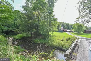 2527 Pigs Ear Rd, Grantsville, MD 21536 - Photo 76