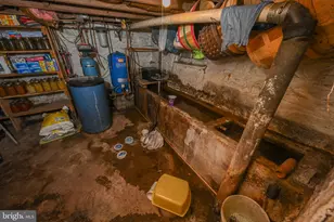 2527 Pigs Ear Rd, Grantsville, MD 21536 - Photo 52