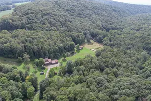 2527 Pigs Ear Rd, Grantsville, MD 21536 - Photo 82