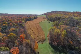 2527 Pigs Ear Rd, Grantsville, MD 21536 - Photo 92