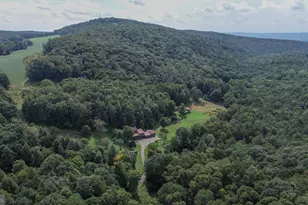 2527 Pigs Ear Rd, Grantsville, MD 21536 - Photo 80