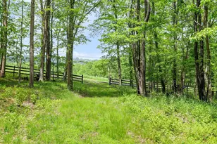 1240 Boy Scout Rd, Oakland, MD 21550 - Photo 136