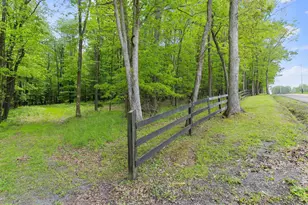 1240 Boy Scout Rd, Oakland, MD 21550 - Photo 130