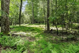 1240 Boy Scout Rd, Oakland, MD 21550 - Photo 114