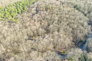 328 Stool Rock Rd, Oakland, MD 21550 - Photo 6