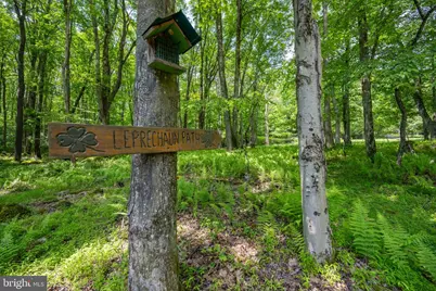 328 Stool Rock Road, Oakland, MD 21550 - Photo 14