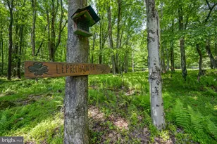 328 Stool Rock Rd, Oakland, MD 21550 - Photo 14