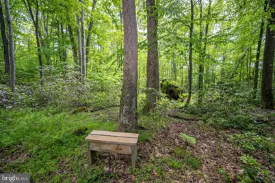 328 Stool Rock Road, Oakland, MD 21550 - Photo 96