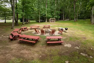 189 Red Run Rd, Oakland, MD 21550 - Photo 44