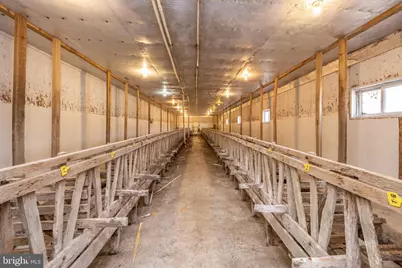 616 Crab Run Road, Grantsville, MD 21536 - Photo 36