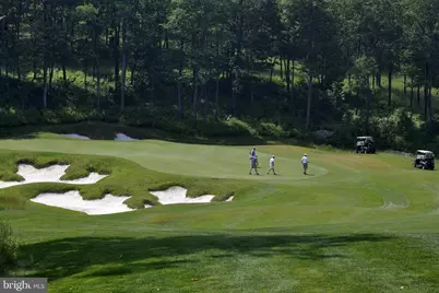 Lot 100 Snowhaven Lane, Mc Henry, MD 21541 - Photo 20