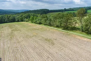 220 Diesel School Rd, Accident, MD 21520 - Photo 86