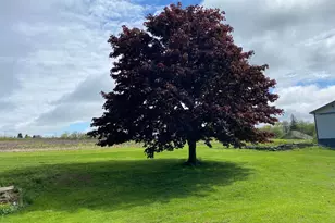 220 Diesel School Rd, Accident, MD 21520 - Photo 38