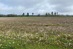 220 Diesel School Rd, Accident, MD 21520 - Photo 4