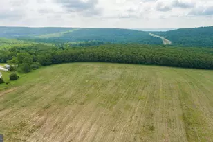 220 Diesel School Rd, Accident, MD 21520 - Photo 80