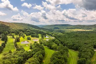 60 Barbaras Way, Mc Henry, MD 21541 - Photo 50