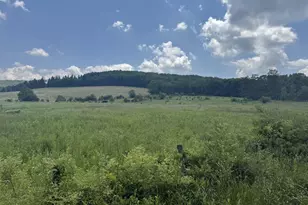 1570 Garrett Rd, Oakland, MD 21550 - Photo 22