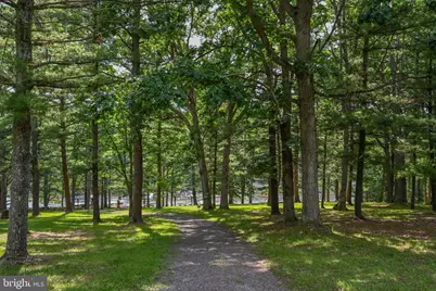 332 High Point Drive, Swanton, MD 21561 - Photo 40