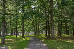 332 High Point Dr, Swanton, MD 21561 - Photo 40