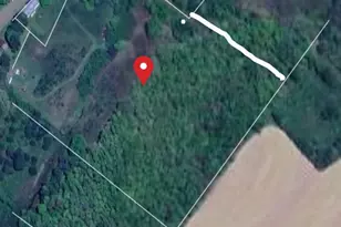 5202 Hutton Rd, Oakland, MD 21550 - Photo 4