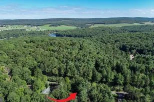 189 Deer Run Ln, Swanton, MD 21561 - Photo 44