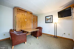 290 Marsh Hill Rd, Mc Henry, MD 21541 - Photo 14