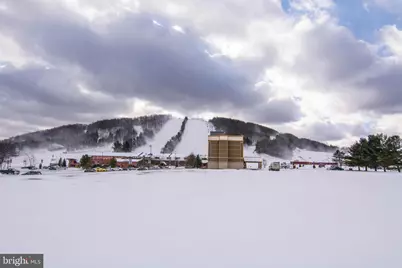 290 Marsh Hill Road #702K, Mc Henry, MD 21541 - Photo 44