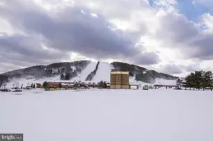 290 Marsh Hill Rd, Mc Henry, MD 21541 - Photo 44