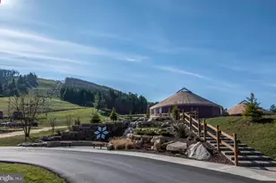 290 Marsh Hill Rd, Mc Henry, MD 21541 - Photo 36