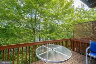 257 Marsh Hill Rd, Mc Henry, MD 21541 - Photo 26