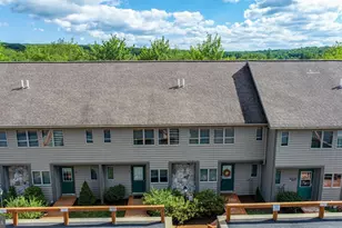 257 Marsh Hill Rd, Mc Henry, MD 21541 - Photo 56