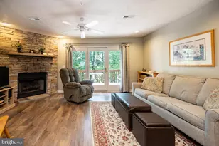 257 Marsh Hill Rd, Mc Henry, MD 21541 - Photo 14