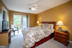 257 Marsh Hill Rd, Mc Henry, MD 21541 - Photo 22