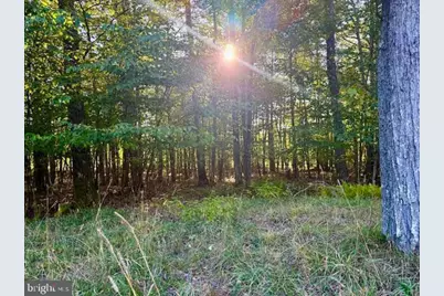 60 Sundance Way, Mc Henry, MD 21541 - Photo 4