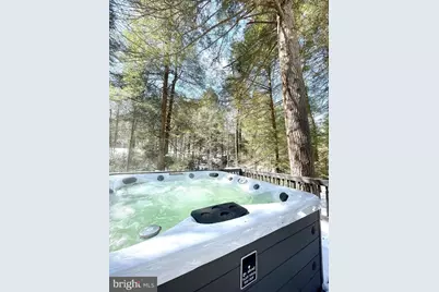 285 Lake Shore Drive, Oakland, MD 21550 - Photo 30