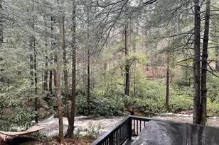 285 Lake Shore Dr, Oakland, MD 21550 - Photo 24