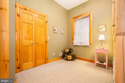 294 N Shoreline Drive, Swanton, MD 21561 - Photo 44