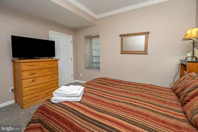 340 Grandview Drive, Oakland, MD 21550 - Photo 86