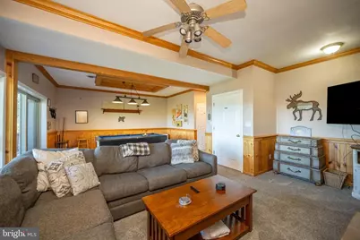 340 Grandview Drive, Oakland, MD 21550 - Photo 60