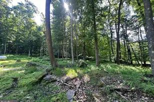 98 Bear Run Rd, Oakland, MD 21550 - Photo 8