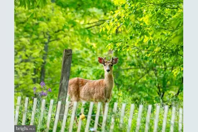 Wes Mountain Trail, Mc Henry, MD 21541 - Photo 18